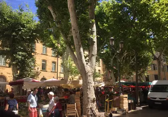 explore the street