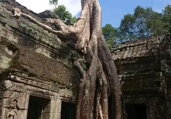 Ankgor Wat