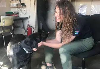 Zuri GVI Base Dog