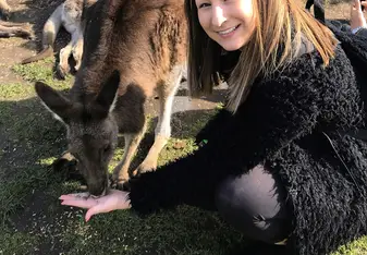 Feeding Kangaroo