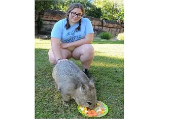 A lady feeding an animal.