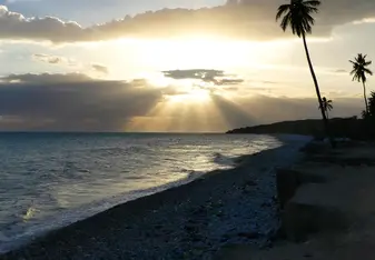 A beach coast.