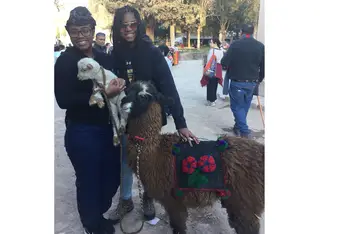 Two people holding llamas.