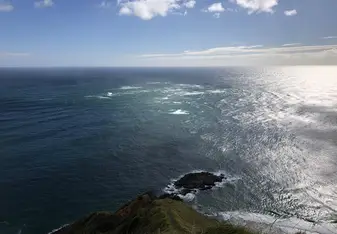 NZ