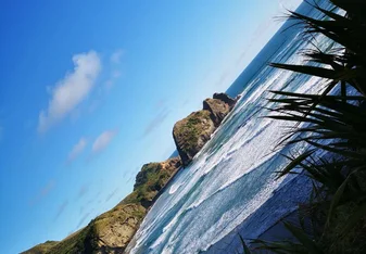 beautiful piha