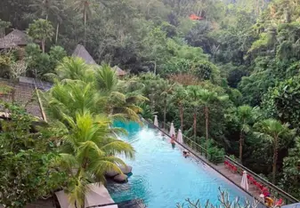 Jungle fish, one of the places volunteers go to 