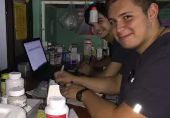 Working in the Clinic