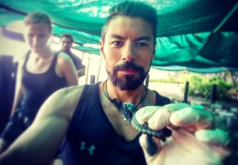Baby turtles!