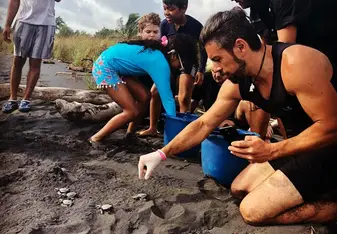Releasing turtles into the ocean...