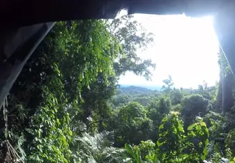 Nature ♥