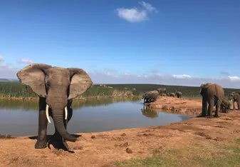 Pure nature