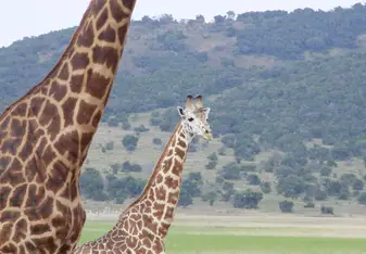 national park