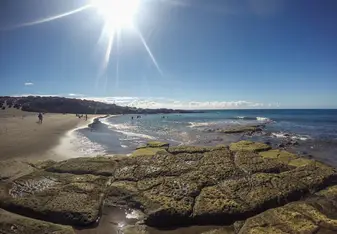 The local beach