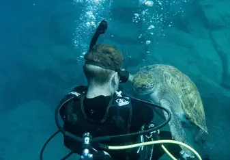 Diving with turtles on Boat Diver Specialty