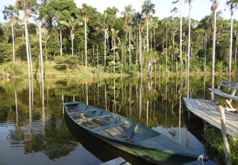 Lake with boat and trees