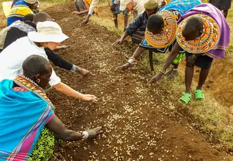 Sadhana Forest Kenya - Planting