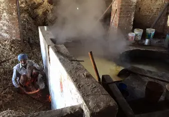 The program took us on a trip to Mysore, India. We happened to stop at this sugar cane farm where two men were grinding and boiling sugar cane.
