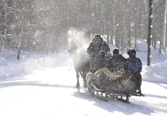 going for a ride in the Siberian wild