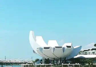 Arts and sciences