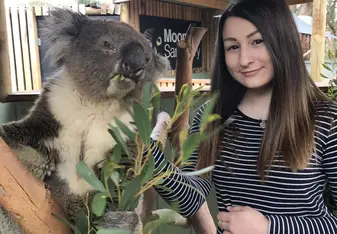 A girl beside a koala.