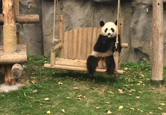 I loved every activity that I did in my time in China.
