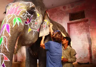 Painting elephants