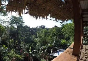 view 