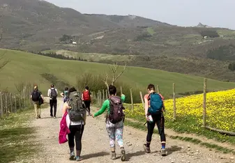 Walking, Trekking, Self-reflect, Trek Epic, Gap Year