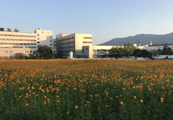 A field behind my apartment building