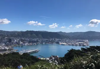 View of Wellington from Mount Victoria 