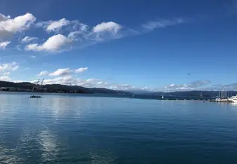 Wellington Harbor 