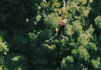 Bungee