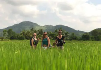 Rice Fields