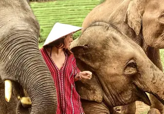 Elephants!!!