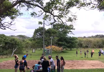 Playing volleyball