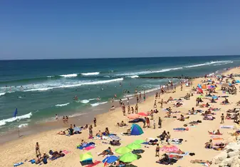 Busy day at the beach!