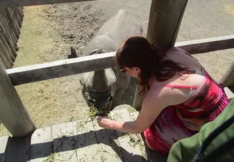 Me feeding a rhino during our ecology unit