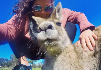 Day trip to Phillip Island to meet some kangaroos! 