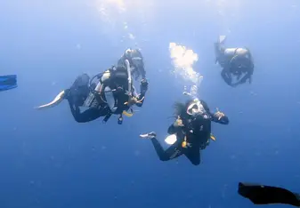 Diving with your friends is unforgettable, especially when you grow so close that you now call them family 