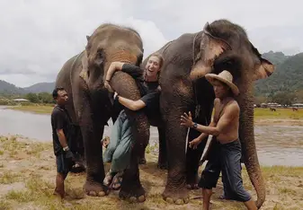 Day spent with elephants!