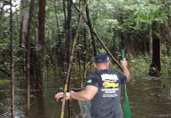 fishing