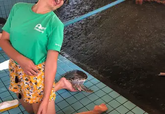 *the turtle who decided that I was a pillow*