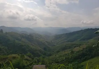 Northern Thailand and all it's beauty. 