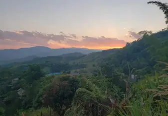 I am living in northern Thailand and surrounded by the beautiful jungle landscape. 
