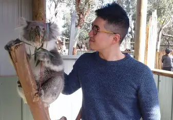 Met a Koala 
