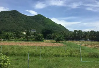Mountain Views