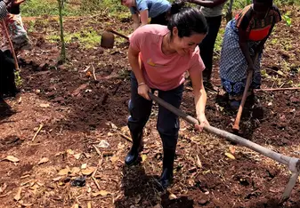 Planting Beans