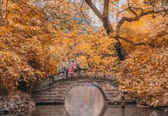 Chengdu city