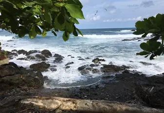 Gorgeous Montezuma