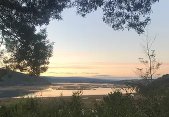 View from the university-owned arboretum at Teja Norte